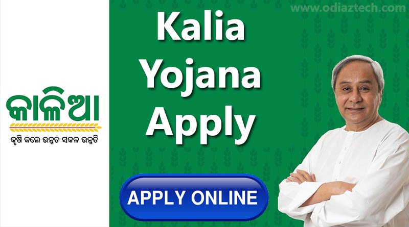 kalia-yojana-apply